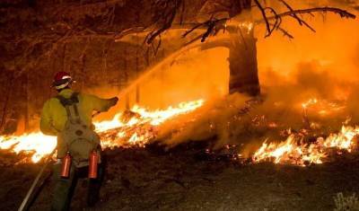 Пожарные в Сочи трое суток тушат горящий лес