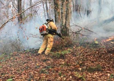 В Сочи ликвидировали открытое горение природного пожара