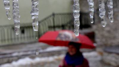 Глава Псковской области доложил Путину о ликвидации последствий ледяного дождя