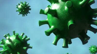 В США озвучили самую «достоверную» теорию возникновения коронавируса