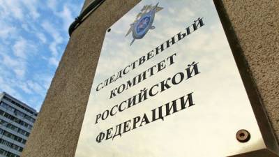 СКР проверяет сведения о жестком обращении с детьми под Новосибирском