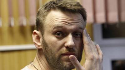 Карнаухов назвал логичным обвинение против Навального в создании ОПГ
