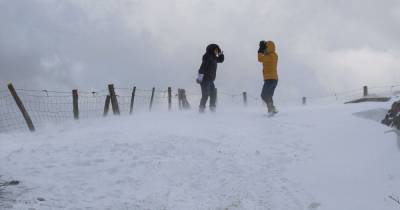 Юг Австрии засыпало снегом: сошли лавины и заблокированы дороги