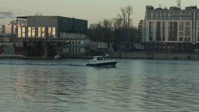 Из ледяной воды в Приморском районе спасли собаку