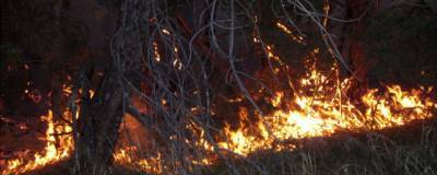 На Кубани закончили тушение пожаров