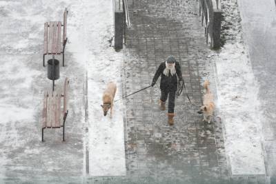 Жителей Подмосковья предупредили о мокром снеге и гололеде