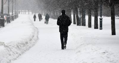 Вильфанд прогнозирует мягкий вариант зимы на следующей неделе