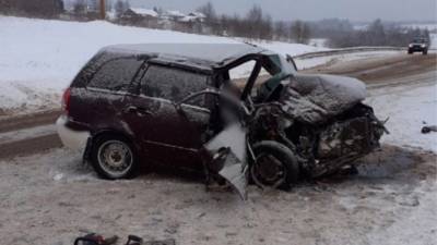 Женщина погибла в ДТП под Шенкурском в Архангельской области