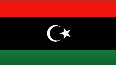 Зампред ПНС надеется с помощью РФ нормализовать обстановку в Ливии