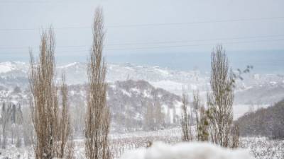 В плену арктического фронта: какой будет погода в Крыму в субботу