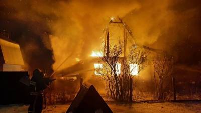 В Подмосковье при пожаре в доме погибли два человека