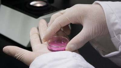 Израильские ученые нашли уязвимые места в раковых клетках