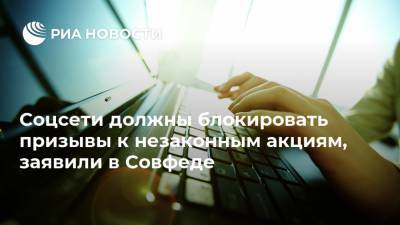 Дональд Трамп - Алексей Навальный - Вадим Деньгин - Соцсети должны блокировать призывы к незаконным акциям, заявили в Совфеде - ria.ru - Москва - Россия - США