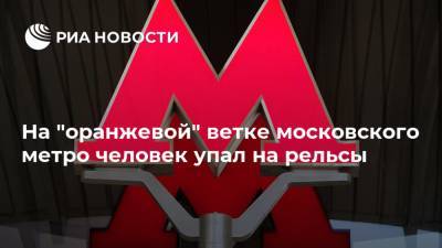 На "оранжевой" ветке московского метро человек упал на рельсы