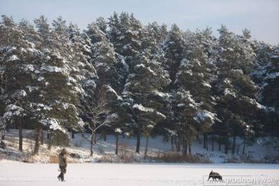 Синоптики прогнозируют в Беларуси морозы до -10°С и гололедицу 29 января