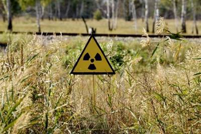 Экологи рассказали о вторичном радиоактивном загрязнении в Чернобыльской зоне