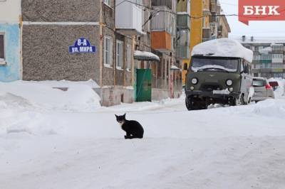 Воркутинские школьники останутся дома из-за сложных погодных условий