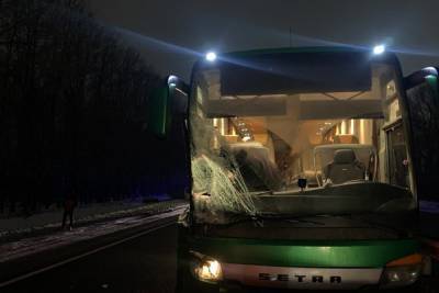 Под Рязанью рейсовый автобус столкнулся с «Газелью», пострадали двое
