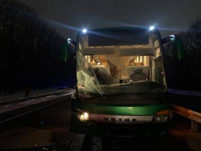 В ДТП на М5 с рейсовым автобусом под Рязанью пострадали два человека