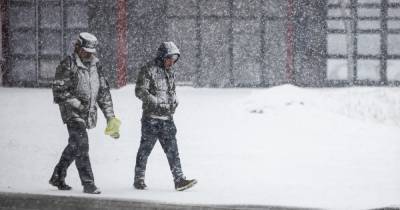 В Калининградской области в субботу ожидаются снег и ветер