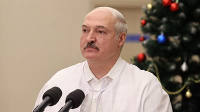 Лукашенко обозначил сроки рассмотрения всех жалоб от протестующих