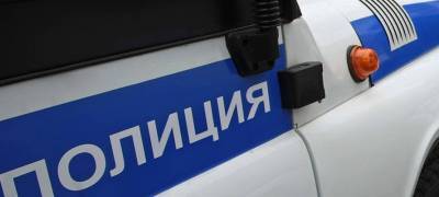 В Карелии полицейские спасли мужчину, который упал на улице и чуть не замерз насмерть
