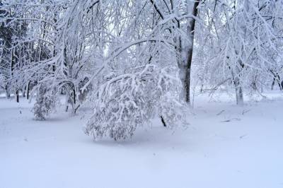 Украину продолжит засыпать снегом в последние дни января: спасатели предупредили об опасности