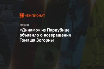«Динамо» из Пардубице объявило о возвращении Томаша Зогорны