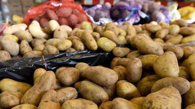 Названы главные ошибки в приготовлении картофеля