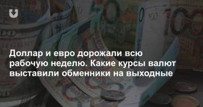 Доллар и евро дорожали всю рабочую неделю. Какие курсы валют выставили обменники на выходные - news.tut.by - Белоруссия