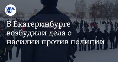В Екатеринбурге возбудили дела о насилии против полиции