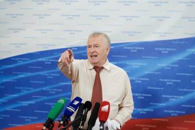 Жириновский предложил открыть публичные дома для оппозиционной молодежи
