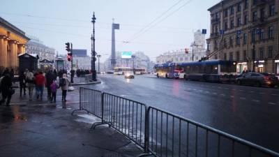 В центре Петербурга заметили большое количество полицейских