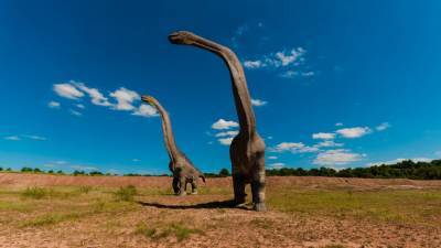 Останки самого большого динозавра обнаружили на территории Аргентины