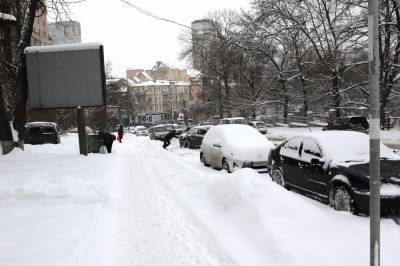 Прогноз погоды на 31 января: в Украине – без осадков, но ветрено