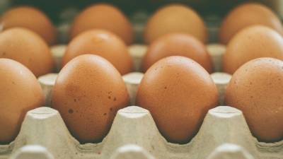 Употребление яиц каждый день может быть смертельно опасно