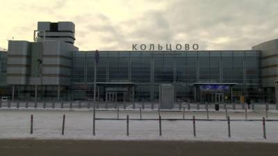 Польский Dreamliner экстренно приземлился в Екатеринбурге