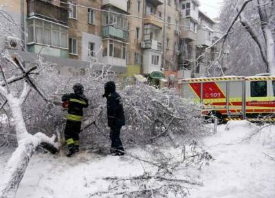 Ветер вырывал столбы из земли: последствия мощной непогоды в Одесской области