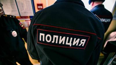 В Петербурге задержали двух агитаторов, клеящих в метро обидные стикеры о силовиках