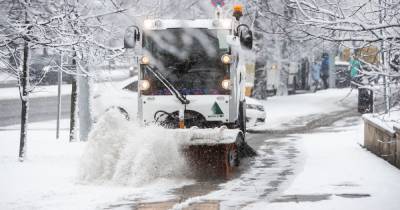 Дятлова прокомментировала уборку снега с улиц в Калининграде