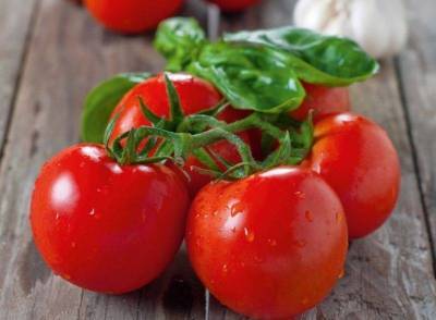 Лучшие сорта томатов для посева в теплице и открытом грунте в Подмосковье в 2021 году