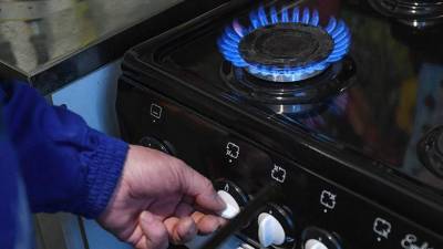 В Украине уже 13 компаний снизили цены на газ