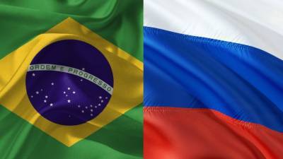 ЦНПЧ при ФАН опроверг рассуждения Варламова о свободе и демократии в Бразилии