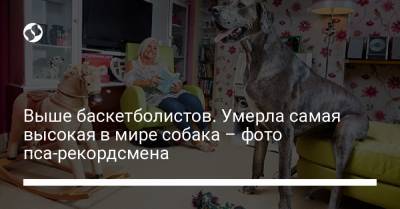 Шакил Онил - Выше баскетболистов. Умерла самая высокая в мире собака – фото пса-рекордсмена - liga.net