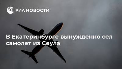 В Екатеринбурге вынужденно сел самолет из Сеула