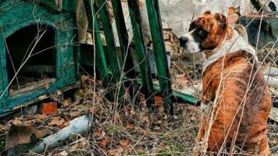 Брошенные вещи и развалившиеся дома: фото, которые демонстрируют последствия войны на Донбассе