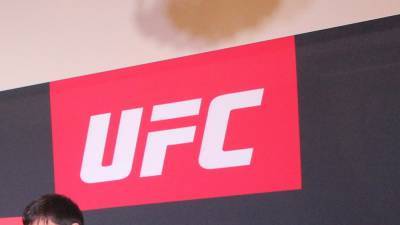 UFC анонсировал бой между тяжеловесами Розенструйком и Гейном