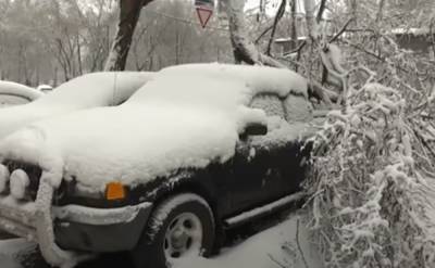 Снежный циклон накроет северные, центральные и южные области Украины - шквальный ветер и метели