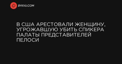 В США арестовали женщину, угрожавшую убить спикера Палаты представителей Пелоси