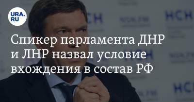 Спикер парламента ДНР и ЛНР назвал условие вхождения в состав РФ